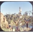 Adventureland - View-Master Walt Disney World - 3 Reel Set on Card - vintage - 3019 Fashion