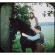 Black Beauty - View-Master 3 Reel Packet - 1973 - vintage - D135-E-BG3 Online now