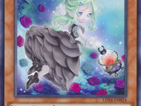 Dark Rose Fairy [LED4-EN024] Rare Discount