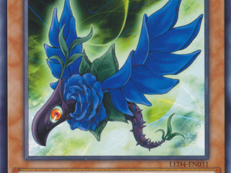 Blue Rose Dragon [LED4-EN031] Common Online