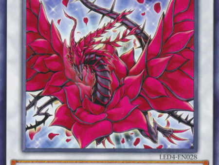 Black Rose Dragon [LED4-EN028] Common Sale