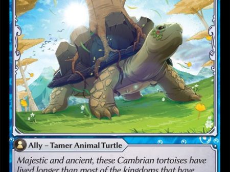 Giant Tortoise (078) [Dawn of Ashes: Starter Decks] Supply