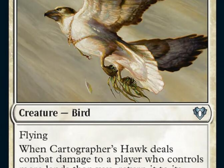 Cartographer s Hawk [Commander Masters] Online Hot Sale