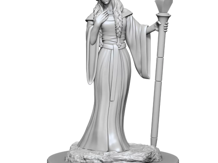 Critical Role Unpainted Miniatures Human Wizard Female & Halfling Holy Warrior Female For Sale