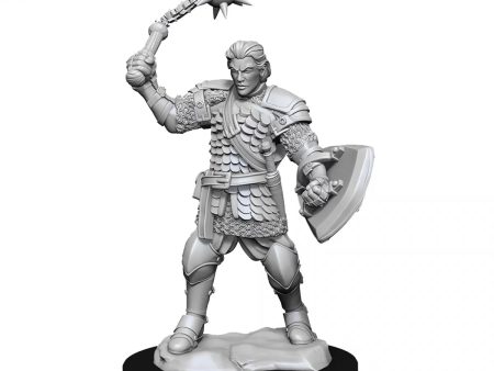 Critical Role Unpainted Miniatures Human Clovis Concord Cleric Male Hot on Sale