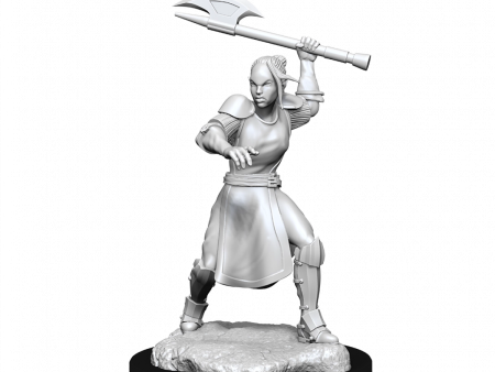 Critical Role Unpainted Miniatures Half-Elf Echo Knight and Echo Female on Sale