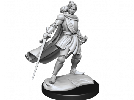 Critical Role Unpainted Miniatures Half-Elf Paladin Xhorhas Female Sale