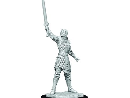 Critical Role Unpainted Miniatures Human Dwendalian Empire Fighter Female Supply