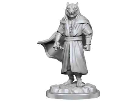 Critical Role Unpainted Miniatures Male Human Sorcerer Merchant & Tiger Demon For Discount